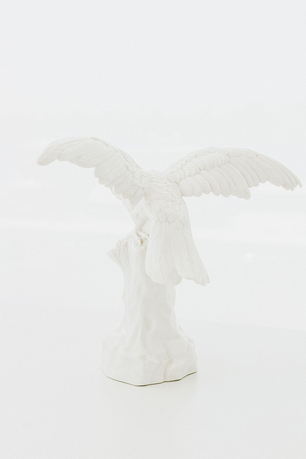 Nymphenberg Porcelain Parrot with Spread Wings
