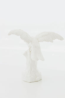 Nymphenberg Porcelain Parrot with Spread Wings
