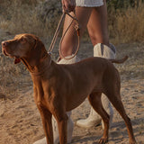Side view of brute gale collar and leash on red brown dog being held by owner on a sand trail, against grassy brush background.