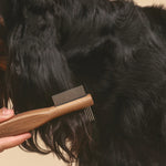 Side view of comber tool being used on cocker spaniel on beige background.