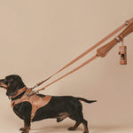 Side view of saddle tascher leash on white background with no model shown.