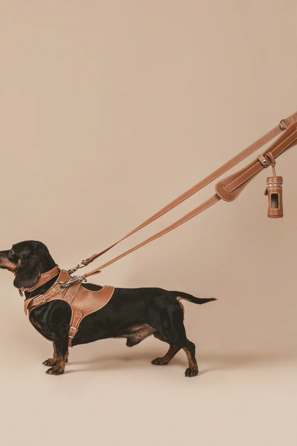 Side view of saddle tascher leash on white background with no model shown.