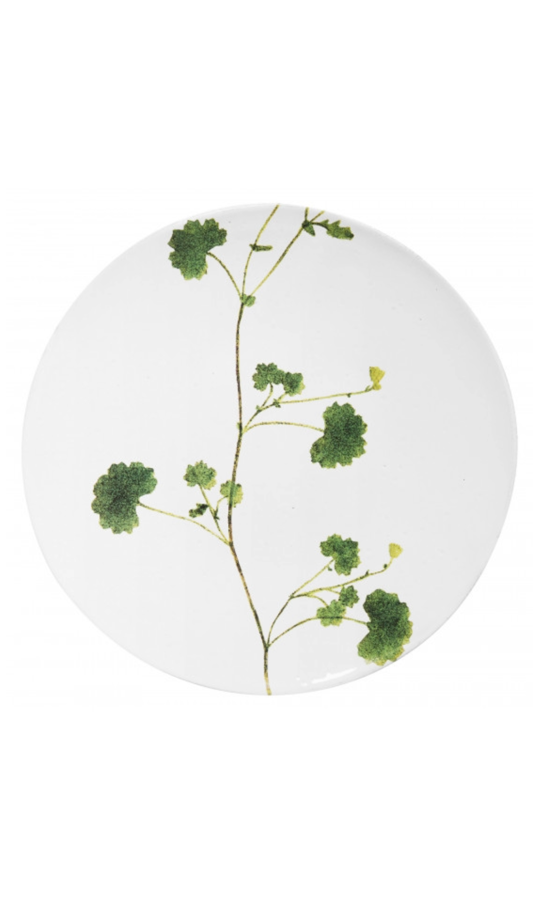 Leaf Plate - Othona