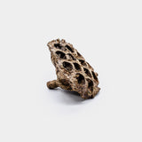Latondra Bronze Lotus Pod