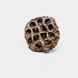 Latondra Bronze Lotus Pod