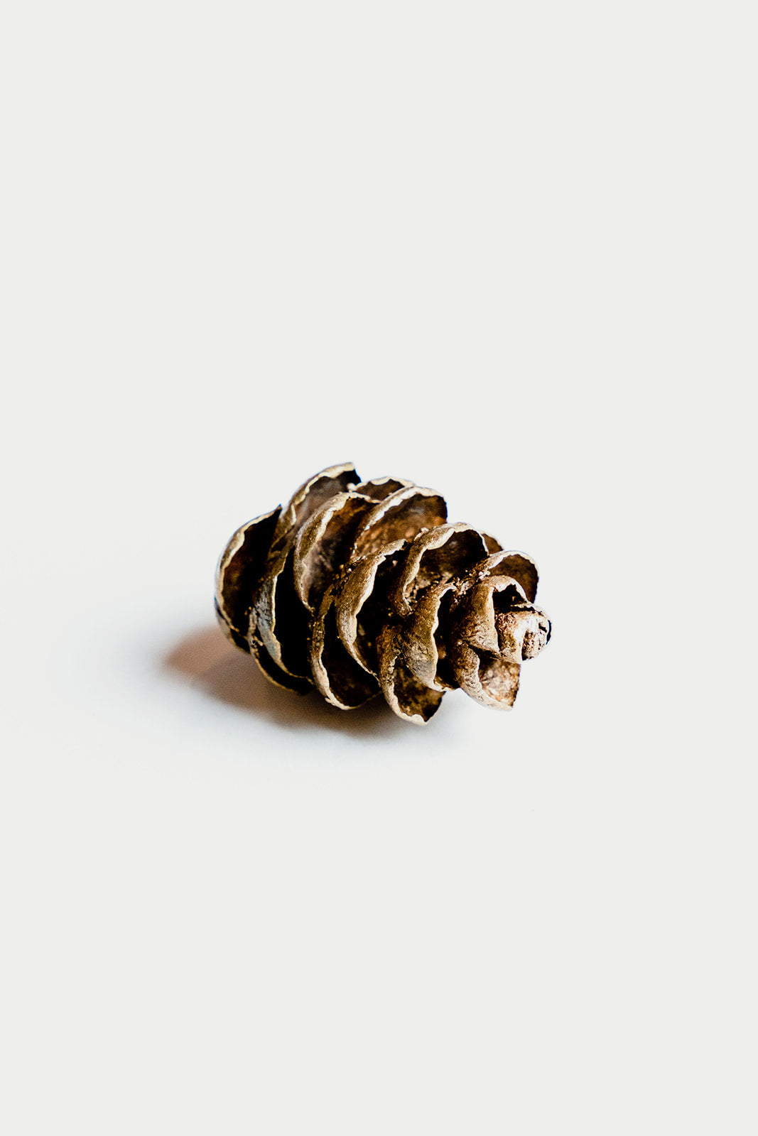 Small Bronze Pinecone