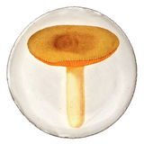 Astier de Villatte Small Agaric Sapid Plate