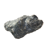 Latondra Sterling Oyster Cup