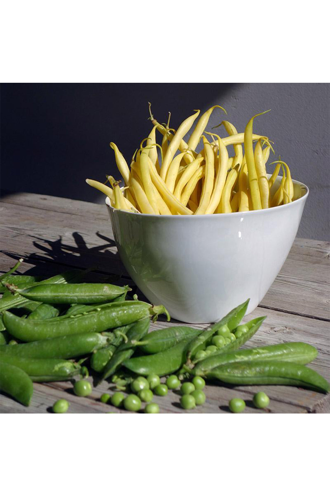 tse-tse-capacious-bowl-amarees