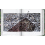 Open book view of taschen julian schnable book on white background.
