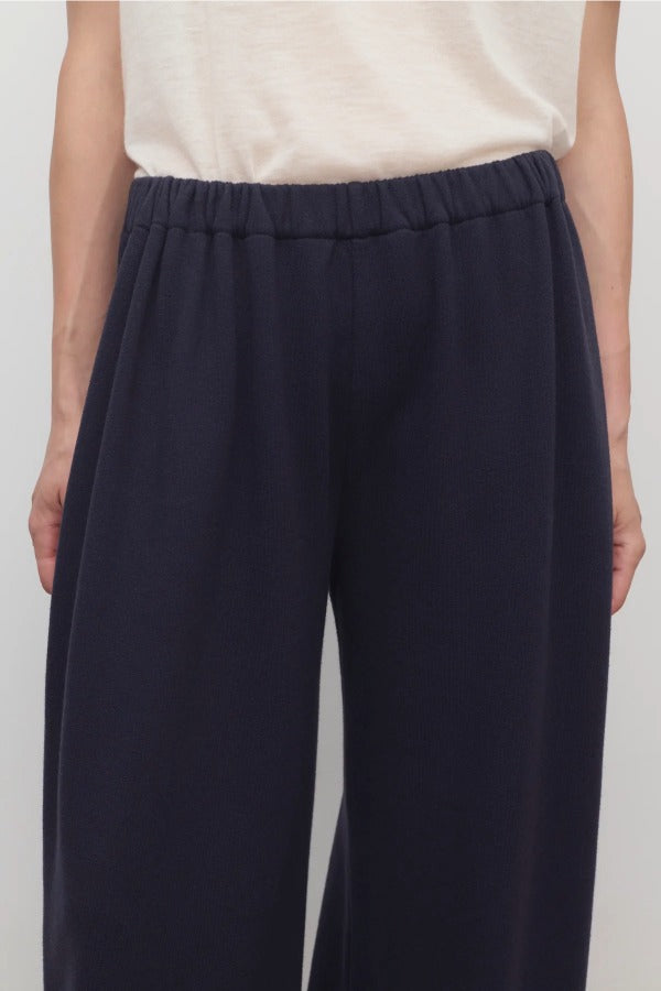 Front closeup view of dark navy pant on model wearing a white t-shirt, against a white background.