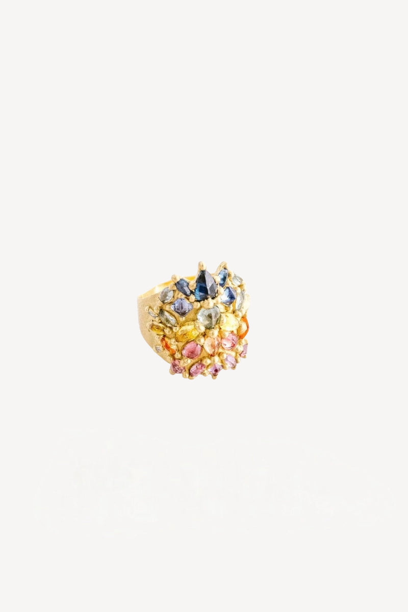 Polly Wales 18K YG Butterfly Rainbow Sapphire Shield Ring