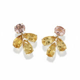 Irene Neuwirth 18K Yellow Gold Earrings with Morganite and Beryl