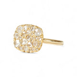 Hargreaves Into the Wild East West Ring