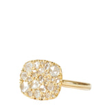 Hargreaves Into the Wild East/West Ring