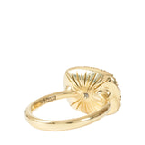 Hargreaves Into the Wild East/West Ring