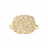 Hargreaves Into the Wild East West Ring