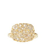 Hargreaves Into the Wild East/West Ring