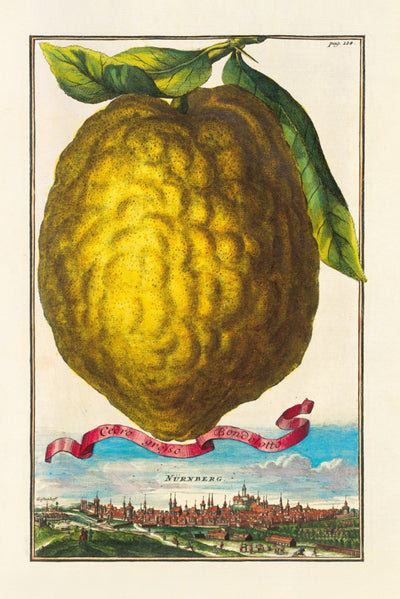 The Book of Citrus Fruits