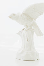 Nymphenberg Porcelain Parrot with Spread Wings