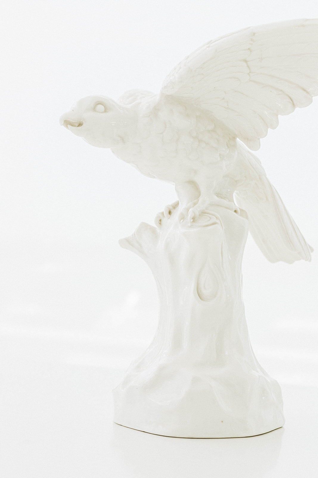 Nymphenberg Porcelain Parrot with Spread Wings