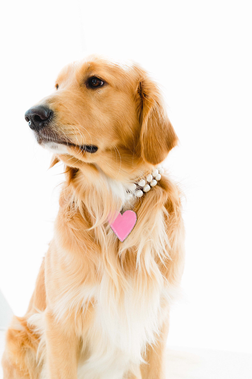 Pearl and Sterling Silver and Diamond Dog Collar
