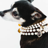 Pearl and Sterling Silver, White Sapphire, and Corundum Dog Collar