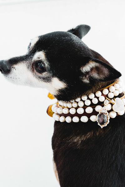 Pearl and Sterling Silver, White Sapphire, and Corundum Dog Collar