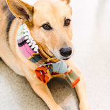 Pearl and Blue and White Topaz Dog Collar