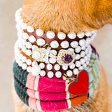 Pearl and Blue and White Topaz Dog Collar