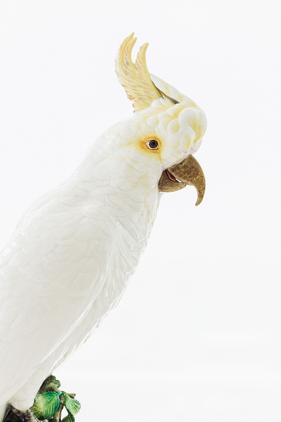 Painted Porcelain Cockatoo