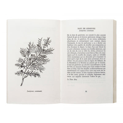 Astier_de_Villatte_perfume_1_book_2_Amarees_