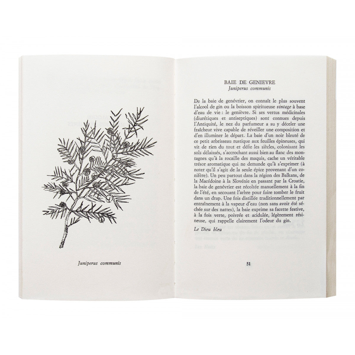 Astier_de_Villatte_perfume_1_book_Amarees_