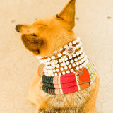 Pearl and Blue and White Topaz Dog Collar