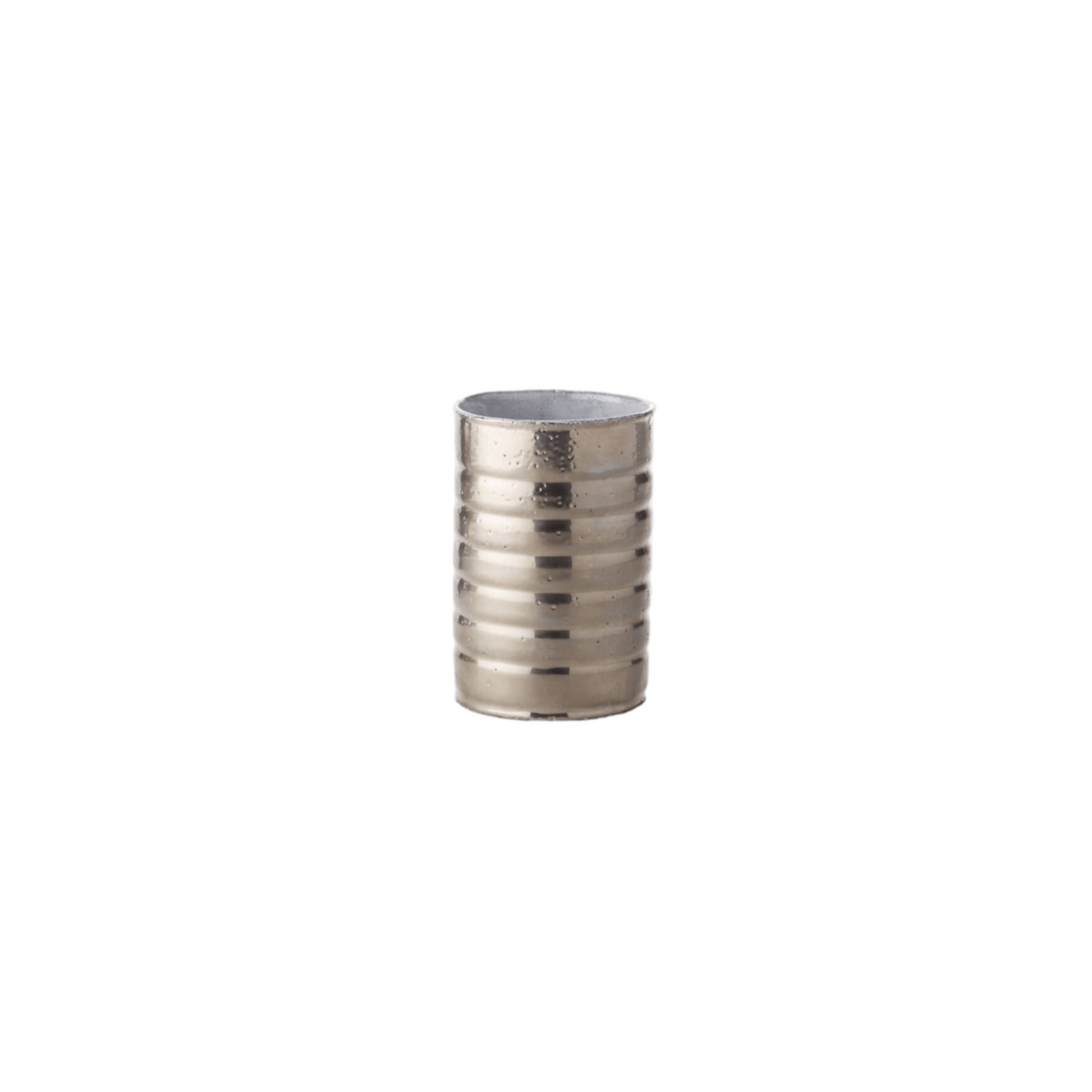 Conserve Small Vase with Platinum Exterior