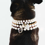 Pearl and Sterling Silver, White Sapphire, and Corundum Dog Collar