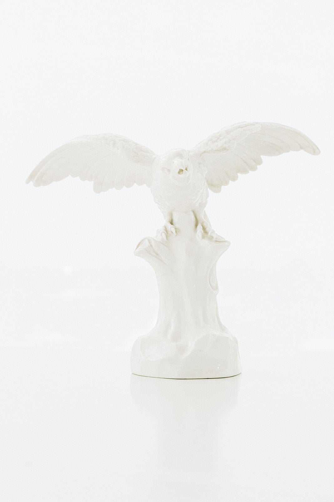 Nymphenberg Porcelain Parrot with Spread Wings