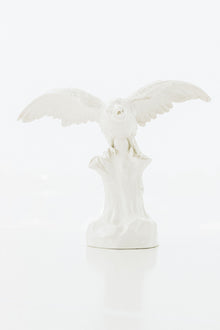 Nymphenberg Porcelain Parrot with Spread Wings