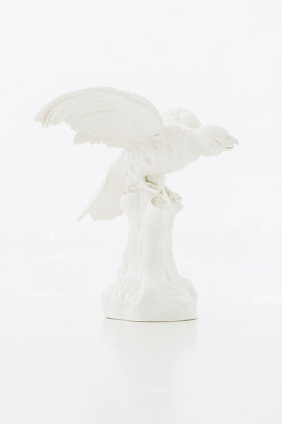 Nymphenberg Porcelain Parrot with Spread Wings