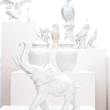 Julius Pair of Small Nymphenburg Porcelain Cockatoos with Arched Wings Height: approx 8”
