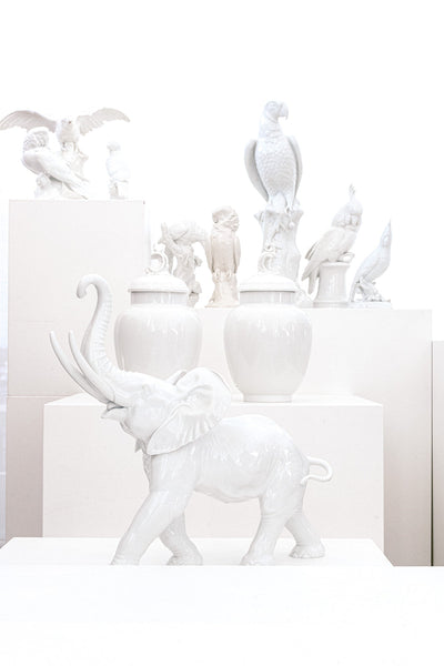Pair of Small Nymphenburg Porcelain Cockatoos with Arched Wings Height: approx 8”