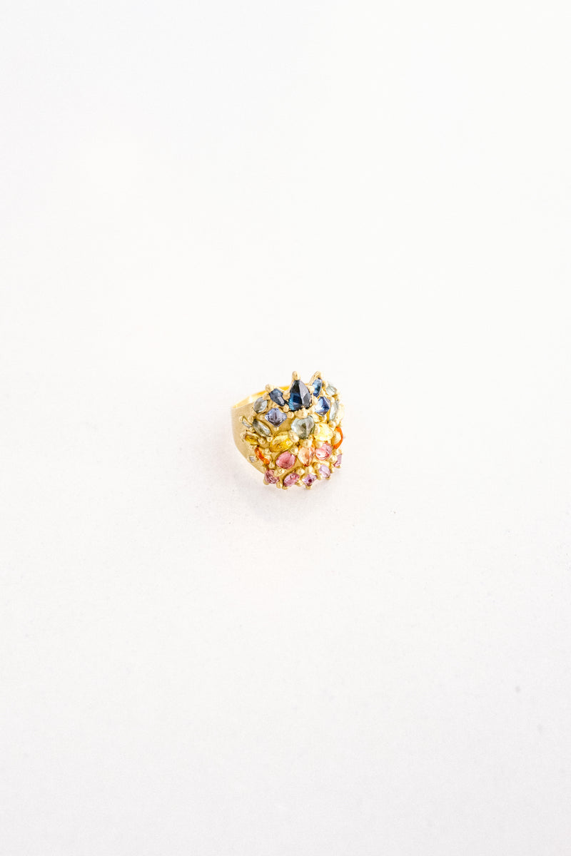 alt="Polly Wales Rainbow Sapphire Shield Ring at A'maree's"