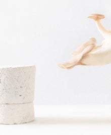 Chakra 06: Third Eye: Jazmin Candle