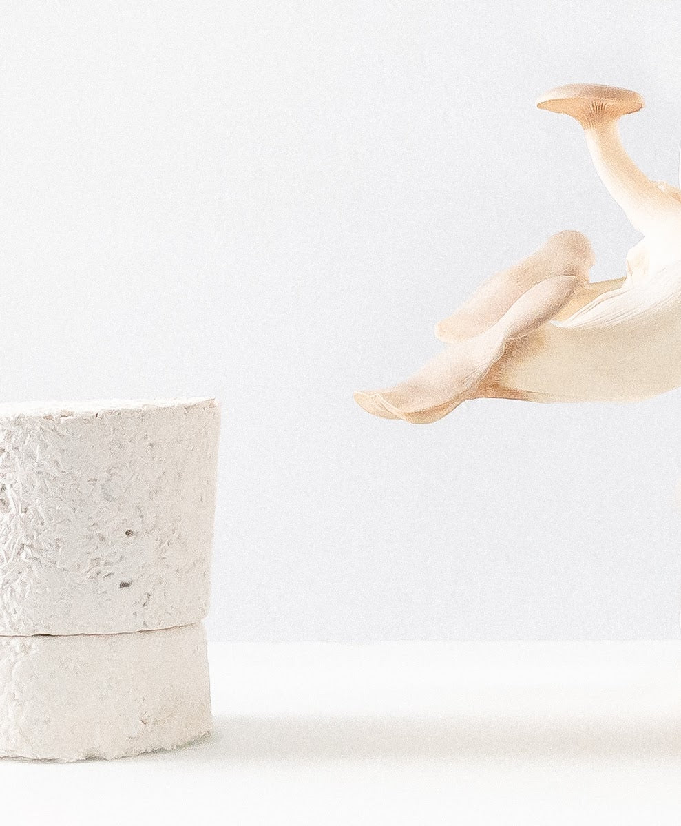 Chakra 06: Third Eye: Jazmin Candle