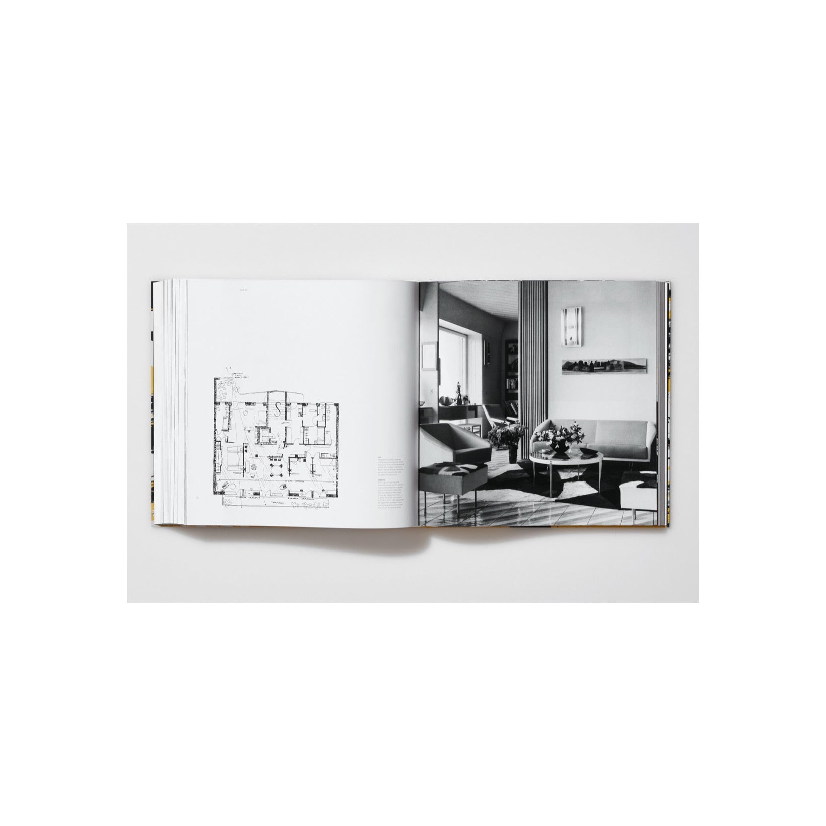 Gio Ponti